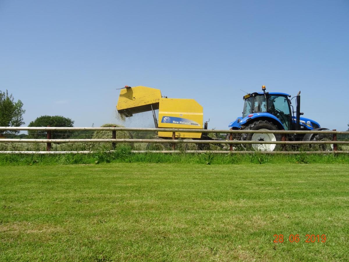 Villa Red Kite Barn Ammanford Exterior foto